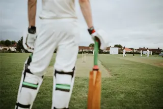 22 Yard Cricket Pitch